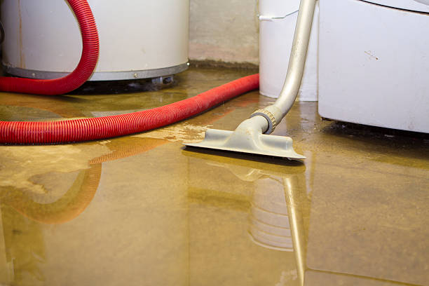 Best Basement water damage restoration  in Iowa Park, TX